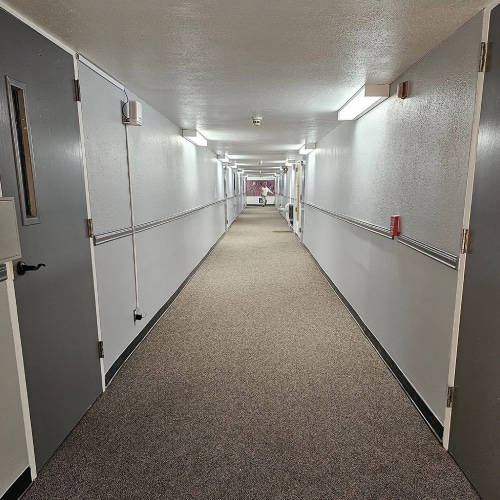 Commercial Painting